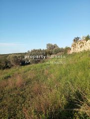 Οικόπεδο 5.600 τ.μ. για πώληση, Ν. Ρεθύμνου, Αρκάδι-thumb-11