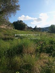 Οικόπεδο 5.600 τ.μ. για πώληση, Ν. Ρεθύμνου, Αρκάδι-thumb-6