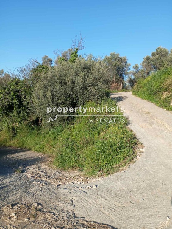 Οικόπεδο 5.600 τ.μ. πρός πώληση, Ν. Ρεθύμνου, Αρκάδι
