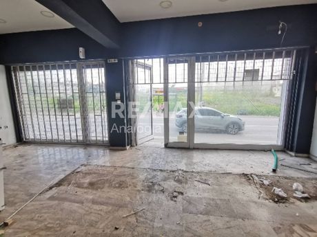Κατάστημα 116τ.μ. για ενοικίαση-Εχέδωρος » Διαβατά