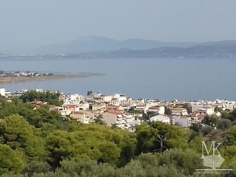 Κτίριο 530τ.μ. για πώληση-Μαρκόπουλο ωρωπού