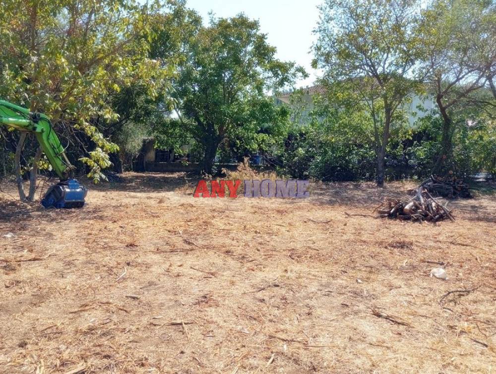 Αγροτεμάχια 1.553 τ.μ. προς πώληση, Λητή