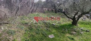 Οικόπεδο 1.200 τ.μ. για πώληση, Ν. Σερρών, Σέρρες-thumb-1