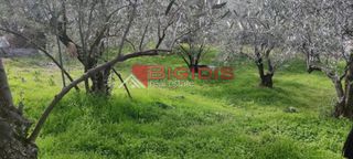Οικόπεδο 1.200 τ.μ. για πώληση, Ν. Σερρών, Σέρρες-thumb-11