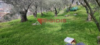 Οικόπεδο 1.200 τ.μ. για πώληση, Ν. Σερρών, Σέρρες-thumb-10