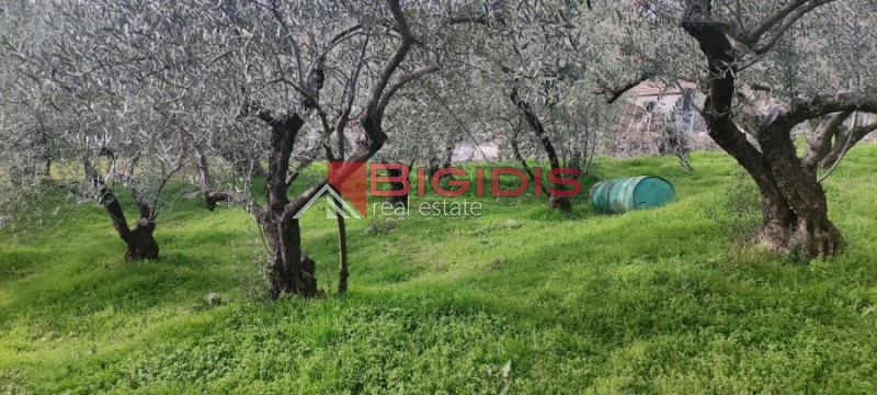 Οικόπεδο 1.200 τ.μ. πρός πώληση, Ν. Σερρών, Σέρρες
