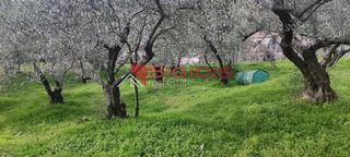 Οικόπεδο 1.200 τ.μ. για πώληση, Ν. Σερρών, Σέρρες-thumb-2
