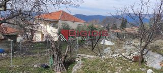 Οικόπεδο 1.200 τ.μ. για πώληση, Ν. Σερρών, Σέρρες-thumb-3