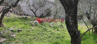 Οικόπεδο 1.200 τ.μ. για πώληση, Ν. Σερρών, Σέρρες-thumb-5