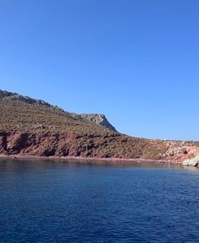 Οικόπεδο 54.000 τ.μ. για πώληση