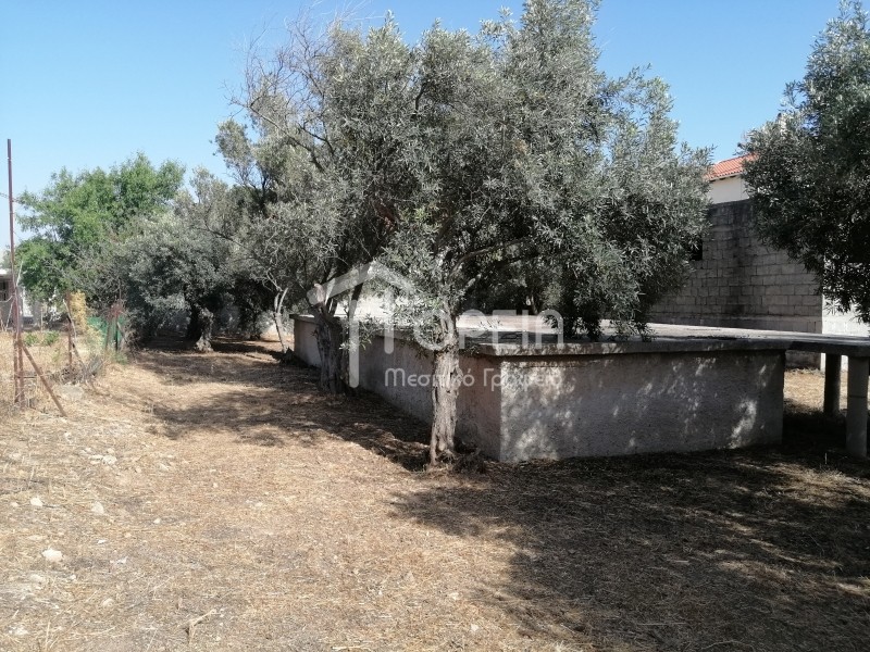 Οικόπεδο 381 τ.μ. πρός πώληση, Αττική - Υπόλοιπο, Καλύβια Θορικού