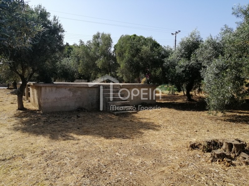 Οικόπεδο 381 τ.μ. πρός πώληση, Αττική - Υπόλοιπο, Καλύβια Θορικού