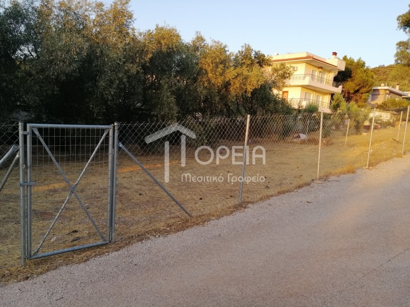 Οικόπεδο 350 τ.μ. πρός πώληση, Αττική - Υπόλοιπο, Καλύβια Θορικού