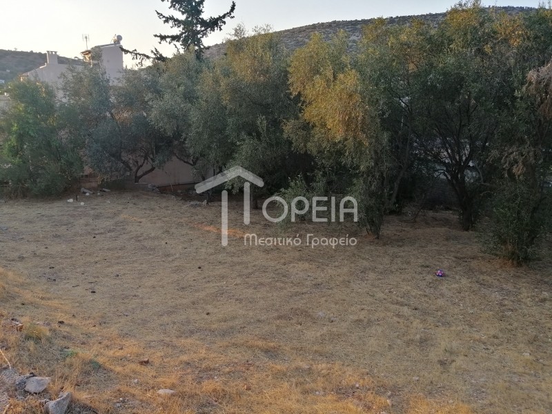 Οικόπεδο 350 τ.μ. πρός πώληση, Αττική - Υπόλοιπο, Καλύβια Θορικού