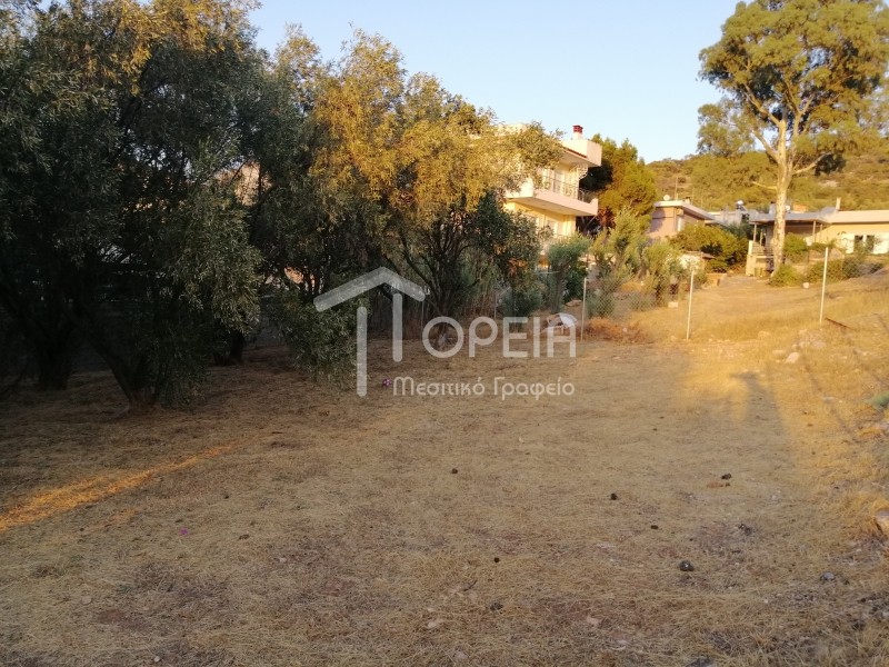 Οικόπεδο 350 τ.μ. πρός πώληση, Αττική - Υπόλοιπο, Καλύβια Θορικού