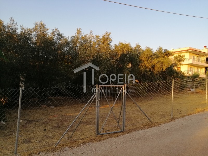 Οικόπεδο 350 τ.μ. πρός πώληση, Αττική - Υπόλοιπο, Καλύβια Θορικού