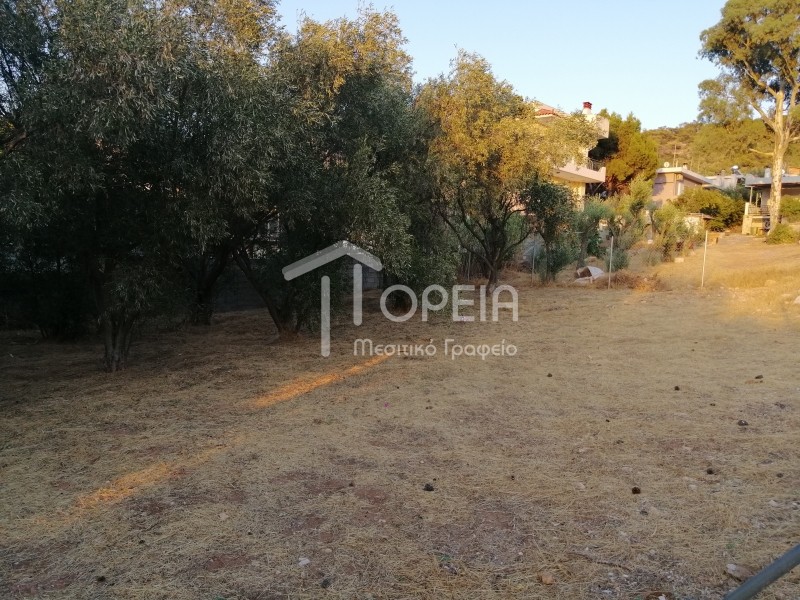 Οικόπεδο 350 τ.μ. πρός πώληση, Αττική - Υπόλοιπο, Καλύβια Θορικού