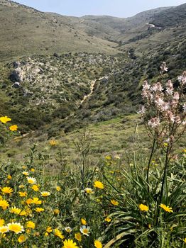 Οικόπεδο 22.000 τ.μ. για πώληση
