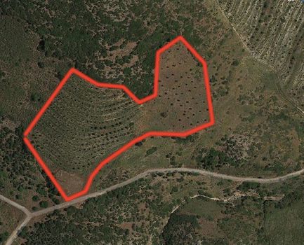 Οικόπεδο 22.000 τ.μ. για πώληση