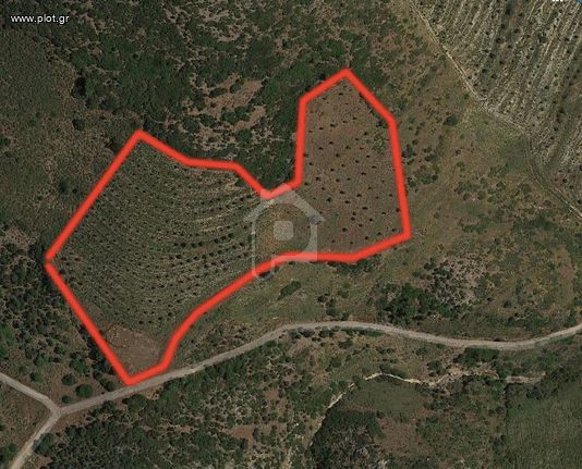 Land plot 22.000 sqm for sale, Rest Of Attica, Keratea