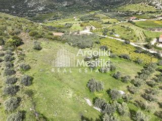 Αγροτεμάχια 8.000 τ.μ. προς πώληση, Μαραθιά Ασίνης-thumb-8