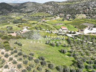 Αγροτεμάχια 8.000 τ.μ. προς πώληση, Μαραθιά Ασίνης-thumb-16