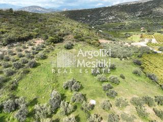 Αγροτεμάχια 8.000 τ.μ. προς πώληση, Μαραθιά Ασίνης-thumb-19