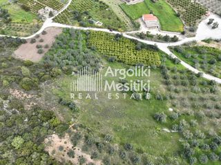 Αγροτεμάχια 8.000 τ.μ. προς πώληση, Μαραθιά Ασίνης-thumb-10