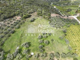 Αγροτεμάχια 8.000 τ.μ. προς πώληση, Μαραθιά Ασίνης-thumb-9