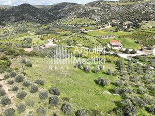 Αγροτεμάχια 8.000 τ.μ. προς πώληση, Μαραθιά Ασίνης-thumb-17