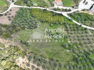 Αγροτεμάχια 8.000 τ.μ. προς πώληση, Μαραθιά Ασίνης-thumb-11