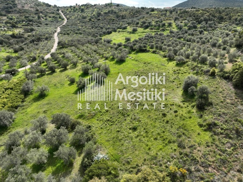 Αγροτεμάχια 8.000 τ.μ. προς πώληση, Μαραθιά Ασίνης