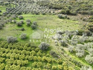 Αγροτεμάχια 8.000 τ.μ. προς πώληση, Μαραθιά Ασίνης-thumb-14