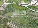 Parcel 8.000sqm for sale-Asini » Marathia