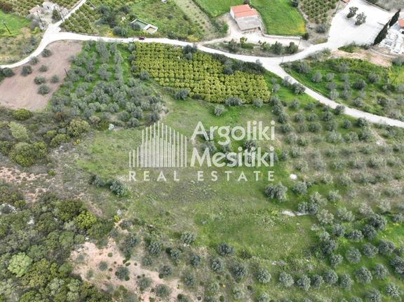 Αγροτεμάχια 8.000 τ.μ. για πώληση, Αργολίδα, Ασίνη
