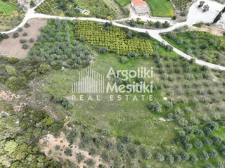 Αγροτεμάχια 8.000 τ.μ. προς πώληση, Μαραθιά Ασίνης-thumb-22