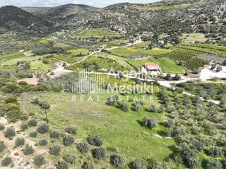 Αγροτεμάχια 8.000 τ.μ. προς πώληση, Μαραθιά Ασίνης-thumb-6