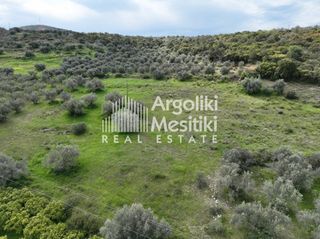 Αγροτεμάχια 8.000 τ.μ. προς πώληση, Μαραθιά Ασίνης-thumb-13