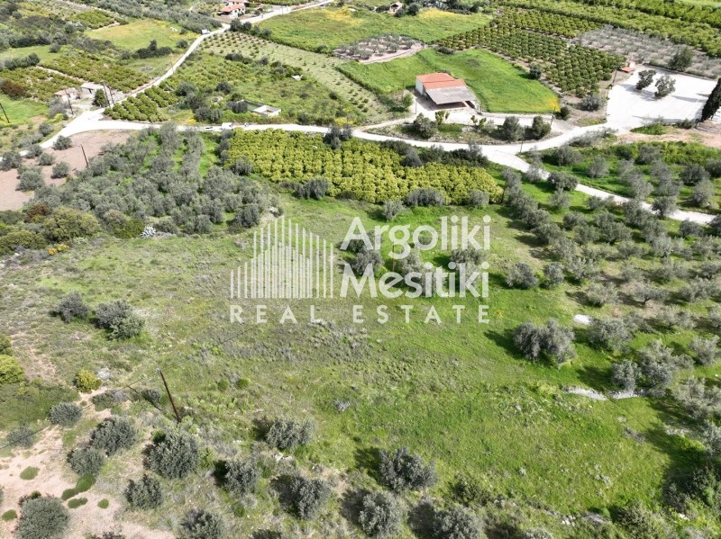 Αγροτεμάχια 8.000 τ.μ. προς πώληση, Μαραθιά Ασίνης
