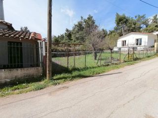 Οικόπεδο 253 τ.μ. για ενοικίαση, Αθήνα - Βόρεια Προάστια, Σταμάτα-thumb-5