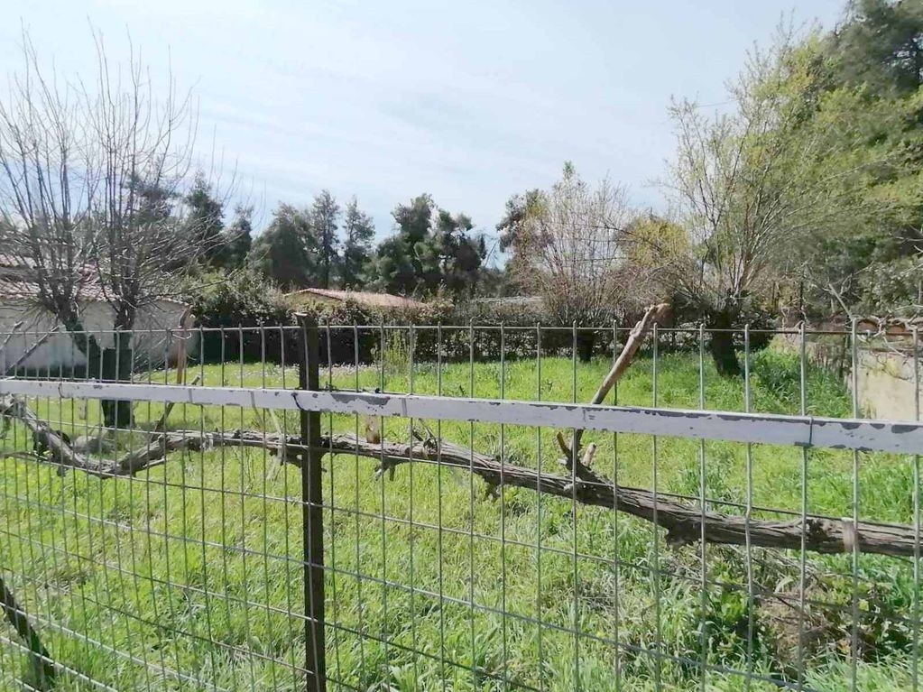 Land plot 253 sqm for rent, Athens - North, Stamata