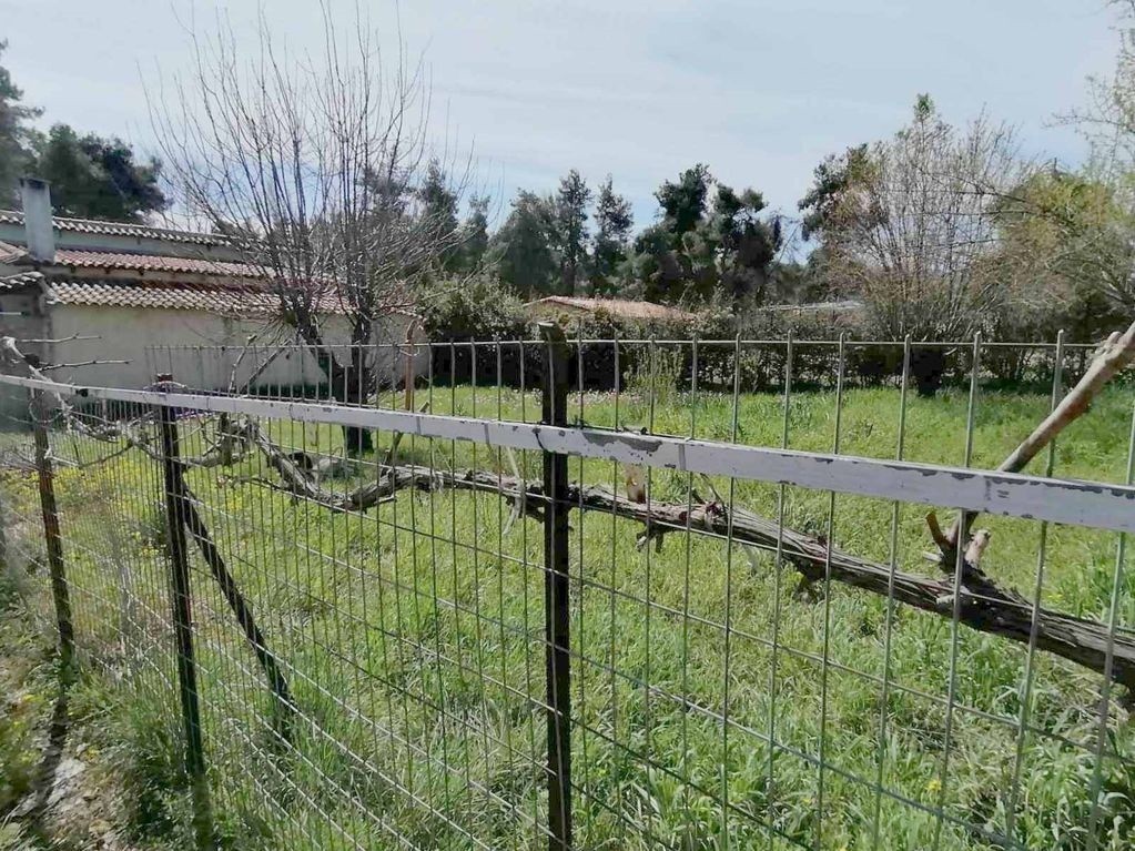 Land plot 253 sqm for rent, Athens - North, Stamata