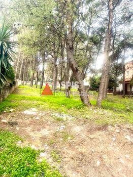 Land plot 700sqm for sale-Anoixi