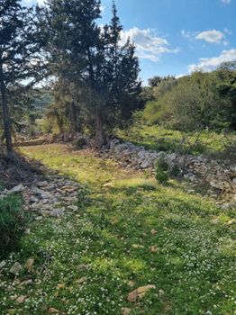 Land plot 8.200sqm for sale-Vamos » Gavalochori