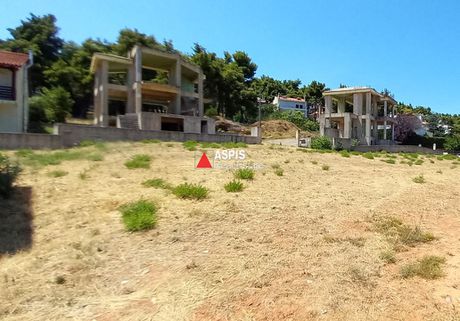 Οικόπεδο 3.560τ.μ. για πώληση-Άγιος στέφανος