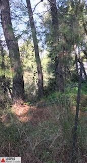 Land plot 700sqm for sale-Anoixi