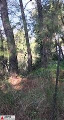 Οικόπεδο 700 τ.μ. για πώληση
