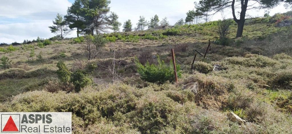 Οικόπεδο 10.250 τ.μ. προς πώληση, Καπανδρίτι Αττικής