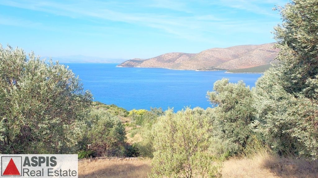 Οικόπεδο 4.000 τ.μ. προς πώληση, Νιμπορειό