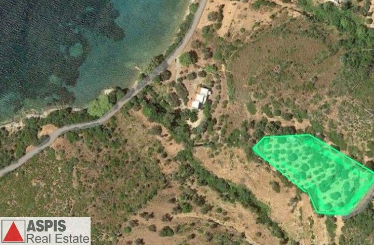 Οικόπεδο 4.000 τ.μ. προς πώληση, Νιμπορειό